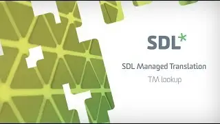 SDL Managed Translation - TM Lookup | Graphene series