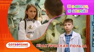 Практическая польза. Короткометражный фильм киноальманаха "И в шутку, и всерьез".