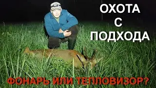 Охота НА КОСУЛЮ с подхода, новый фонарь и тепловизор для охоты.