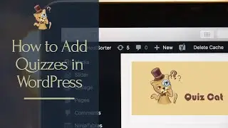 HOW TO ADD QUIZZES AND MCQS IN WEBPAGE | WORDPRESS