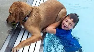 The most SILLY DOG on the planet 🤣🐶 Funny Dog Videos 2024