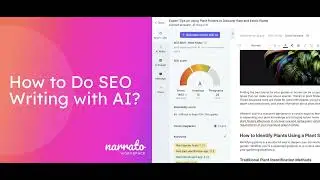 How to Use an AI SEO Content Generator