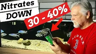 Beating Nitrates [and Algae] with More than Just Water Changes!