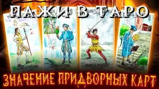 ИЗУЧАЕМ ТАРО: Значение Придворных карт: Пажи в Таро  Карина Таро  #школатаро @karina taro