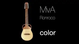 MvA - color (Ronroco - baritone charango)