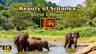 Discover Sri Lanka: A Journey Through Paradise - Heart of the Indian Ocean