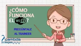 Dominando el WiFi: Pregúntale al Trainer en Vivo 📡🔑 | Consejos para una Conexión Rápida y Estable 🚀