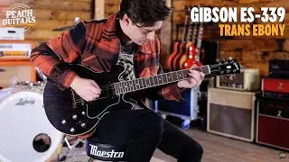 No Talking...Just Tones | Gibson ES-339 Trans Ebony