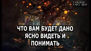 Что будет дано ясно видеть и понимать🔥💯🔥 ГАДАНИЕ ОНЛАЙН  РАСКЛАД ТАРО