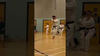 Instilling the fundamentals from a young age #karate #shotokan #martialarts