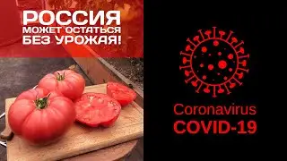 Не дадим России остаться без урожая!!!