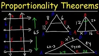 Triangle Proportionality Theorem, Side Splitter Theorem & Angle Bisector Theorem - Geometry