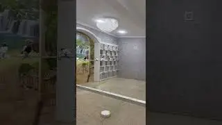 Голубятник нашего друга  Акмаля в Ташкенте