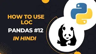 How To Use Loc In Pandas | What Is The Use Of Loc In Pandas | Loc vs ILoc | Pandas 12 | DevSetGo