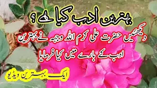 Hazrat Ali RA aqwal || Hazrat Ali Quotes || Aqwal e zareen || Golden saying || Urdu Hindi quotes