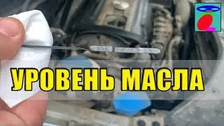 How to check the engine oil level. How to add oil to the engine. The easiest way.