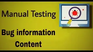 Manual Testing - 46 : Bug Information Content