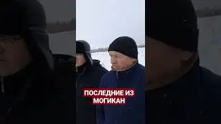 ПОСЛЕДНИЕ ИЗ МОГИКАН