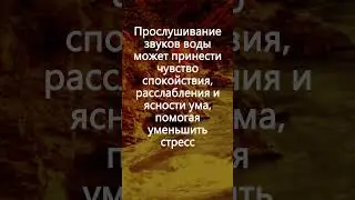 Звуки Воды и Леса: Природная Амбиенция и Пение Птиц для Расслабления, Звуки Природы, Успокаивающий