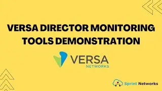 Versa Director Monitoring Tools