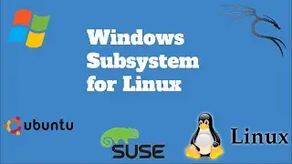 Run Ubuntu terminal on Windows 10 using WSL (No VM, No Dual Boot)