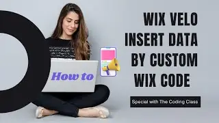 How to insert data by custom wix code l wix velo