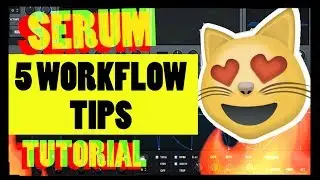 5 Workflow Tips - XFER Serum