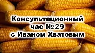 Консультационный час 29 (28 марта 2024)