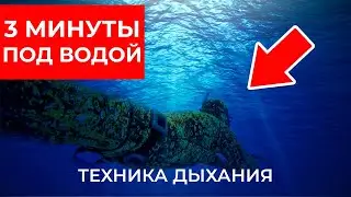 Как увеличить ЗАДЕРЖКУ ДЫХАНИЯ под водой? Выполняй эти упражнения не выходя из дома!