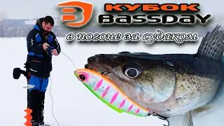 Кубок Bassday 