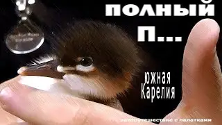 Северная и южная Карелия. Ладога, Ахинкоски, Рускеала, Петергоф. 15.2