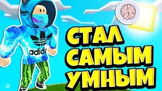 СТАЛ САМЫМ УМНЫМ В ИГРЕ! НОВЫЙ СИМУЛЯТОР МОЗГА! РОБЛОКС! Brain Simulator