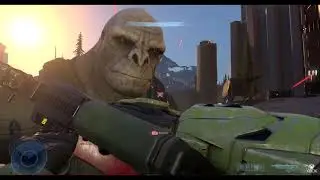 Halo. Infinite memes