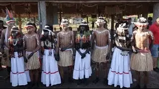 Indigenous Tribe in Amazon Rainforest Holds Coming of Age Ceremony for Girls