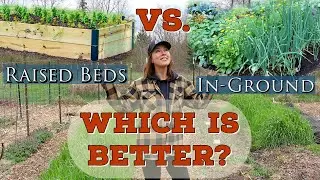 Raised Beds Versus In Ground Gardening-- Which is better?