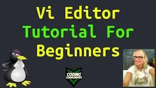 Vi Tutorial for Beginners