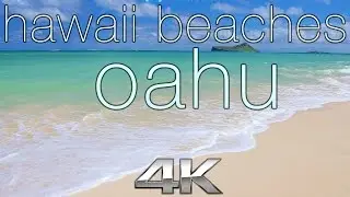 HAWAII BEACHES in 4K: Oahu | Nature Relaxation™ Dynamic 90 Min Video UHD