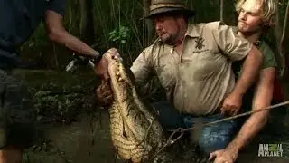 Jumping on Big Bull's Back | Gator Boys