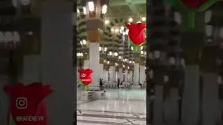 Haydi Peygamberimize (sav) Selam Edelim