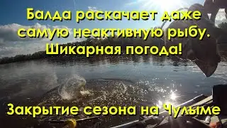 Балда раскачивает даже самую неактивную рыбу  Шикарная погода  Закрытие сезона 2023 на Чулыме