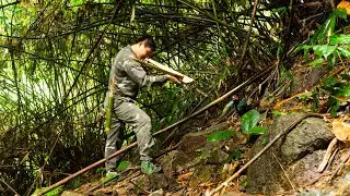 Make a bamboo hunting bow and hunt, cook, and survive alone in the forest