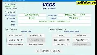 VCDS lambda self adaptation reset