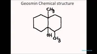 Geosmin: The smell of the earth