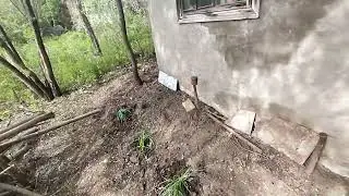 уДачная расчистка участка. HELP, нужен совет в комментариях.