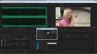 Audio normalization in adobe premier cc