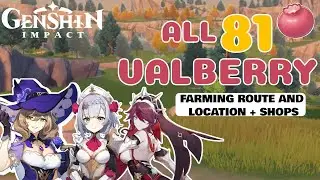 Valberry Location and Farming Route (Lisa, Noelle and Rosaria Ascension Material)