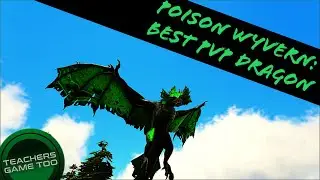 POISON WYVERN: THE BEST PVP WYVERN BY FAR!!!