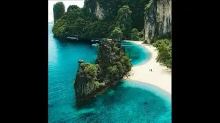 Документальные фильмы Тропический лес Животные