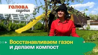 Голова садовая - Восстанавливаем газон и делаем компост