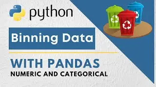 A guide to binning data with python (numeric and categorical)